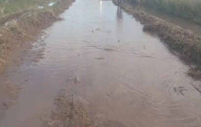 9 de Julio: productores agrarios proponen administrar los caminos rurales