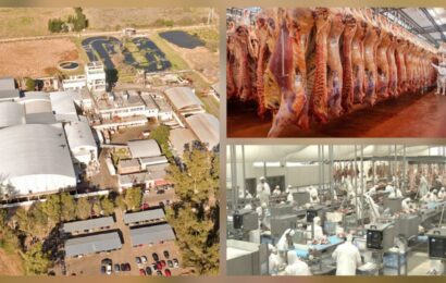 Carne: frigorífico de Gorina, en La Plata, se metió entre los grandes ganadores del reparto de la Cuota Hilton 26/27