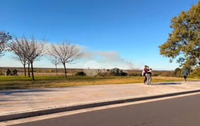 Varios incendios afectaron a las islas que están frente a San Nicolás Varios incendios afectaron a las islas que están frente a San Nicolás