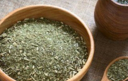 Crean en la UBA un material con yerba mate que se degrada en 5 semanas