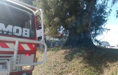 Bomberos trabajó en un principio de incendio
