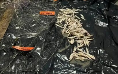 Chascomús: operativo nocturno contra la pesca ilegal en la laguna