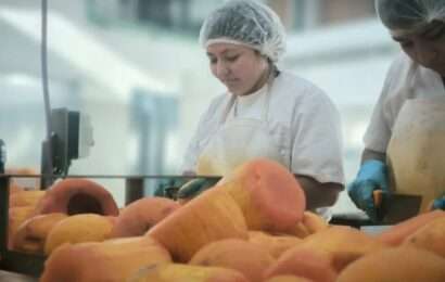 La UNLP y la Provincia avanzan con un acuerdo para producir alimentos sociales