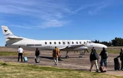 Un tero provocó la suspensión de los vuelos entre Buenos Aires y Tres Arroyos