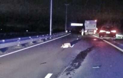 Tragedia en Autopista Luján – Junín: murió un hombre en la ruta tras ser embestido por una camioneta