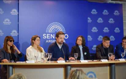 Alerta de las provincias por el aumento de la demanda en salud mental