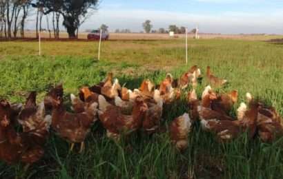 Cumplió cuatro años la Chacra Experimental del MDA en Rojas