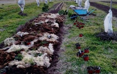 Fue lanzada la 5º convocatoria del Programa de Fomento a la Fruticultura Bonaerense