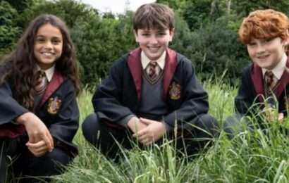 La serie de Harry Potter sacudió al mundo: cuándo se estrena y cómo verla