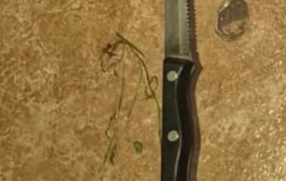 Lo atacaron por la espalda: Un menor resultó herido con arma blanca