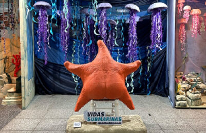 La muestra “Vidas submarinas” comienza su recorrido por la provincia La muestra “Vidas submarinas” comienza su recorrido por la provincia