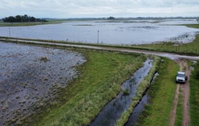 Nación declaró la emergencia agropecuaria por inundaciones en dos distritos