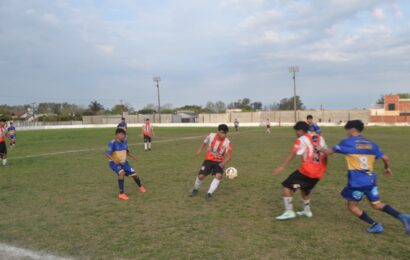 El sábado va la fecha seis del Clausura de los pibes El sábado va la fecha seis del Clausura de los pibes